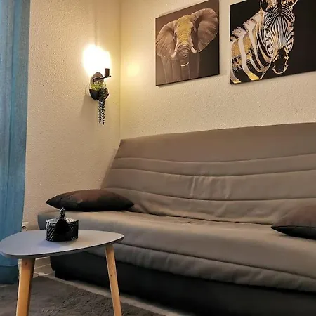 * Le Studi, Cosy, Mbs, Wifi, Parking, Clim* Apartment