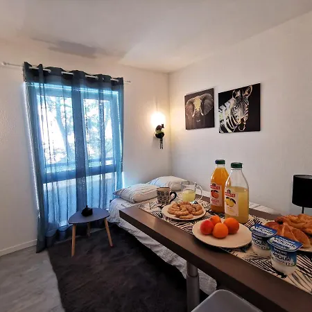 * Le Studi, Cosy, Mbs, Wifi, Parking, Clim* Apartment